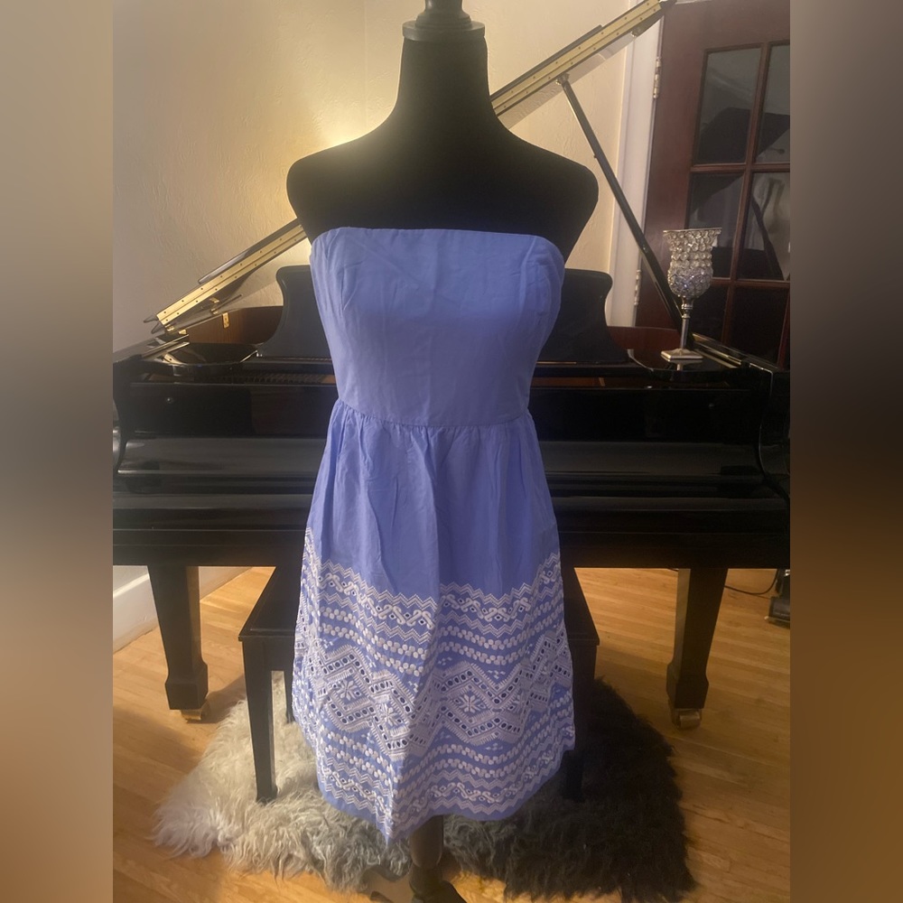 J.Crew Periwinkle Party Dress